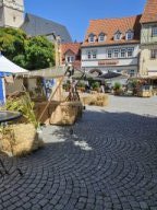 Mittelalterstadtfest 2024
